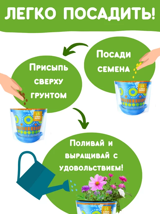 Happy Plants Набор для выращивания растений Вырасти сам цветы Космея, вариант, фото 5