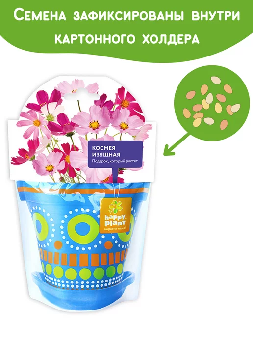 Happy Plants Набор для выращивания растений Вырасти сам цветы Космея, вариант, фото 7
