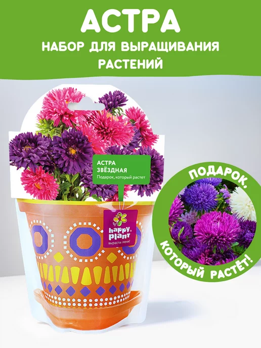 Happy Plants Набор для выращивания растений и цветов Астра, вариант