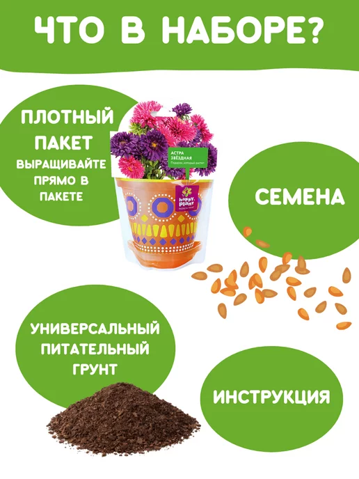Happy Plants Набор для выращивания растений и цветов Астра, вариант, фото 4
