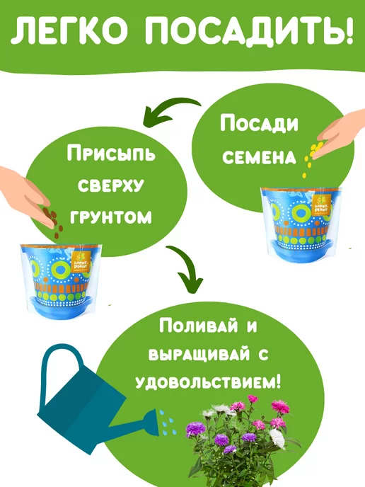 Happy Plants Набор для выращивания растений и цветов Астра, вариант, фото 5