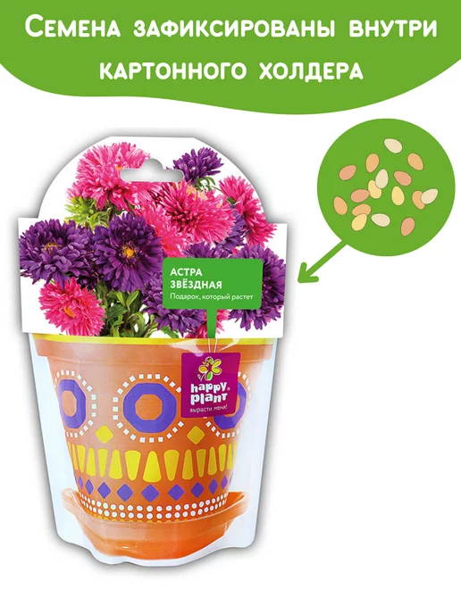 Happy Plants Набор для выращивания растений и цветов Астра, вариант, фото 7