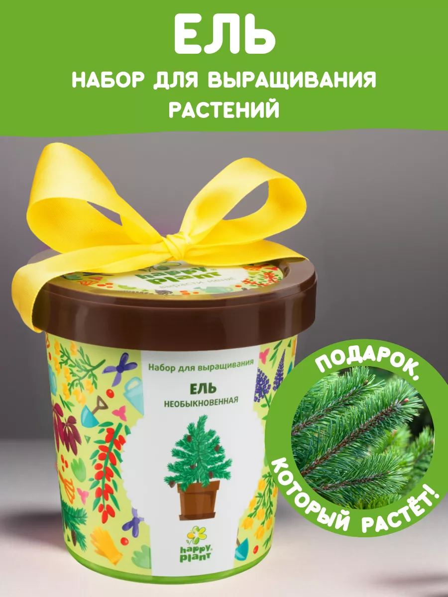 Набор для выращивания растений Вырасти сам дерево Ель Happy Plants 9061830  купить за 348 ₽ в интернет-магазине Wildberries