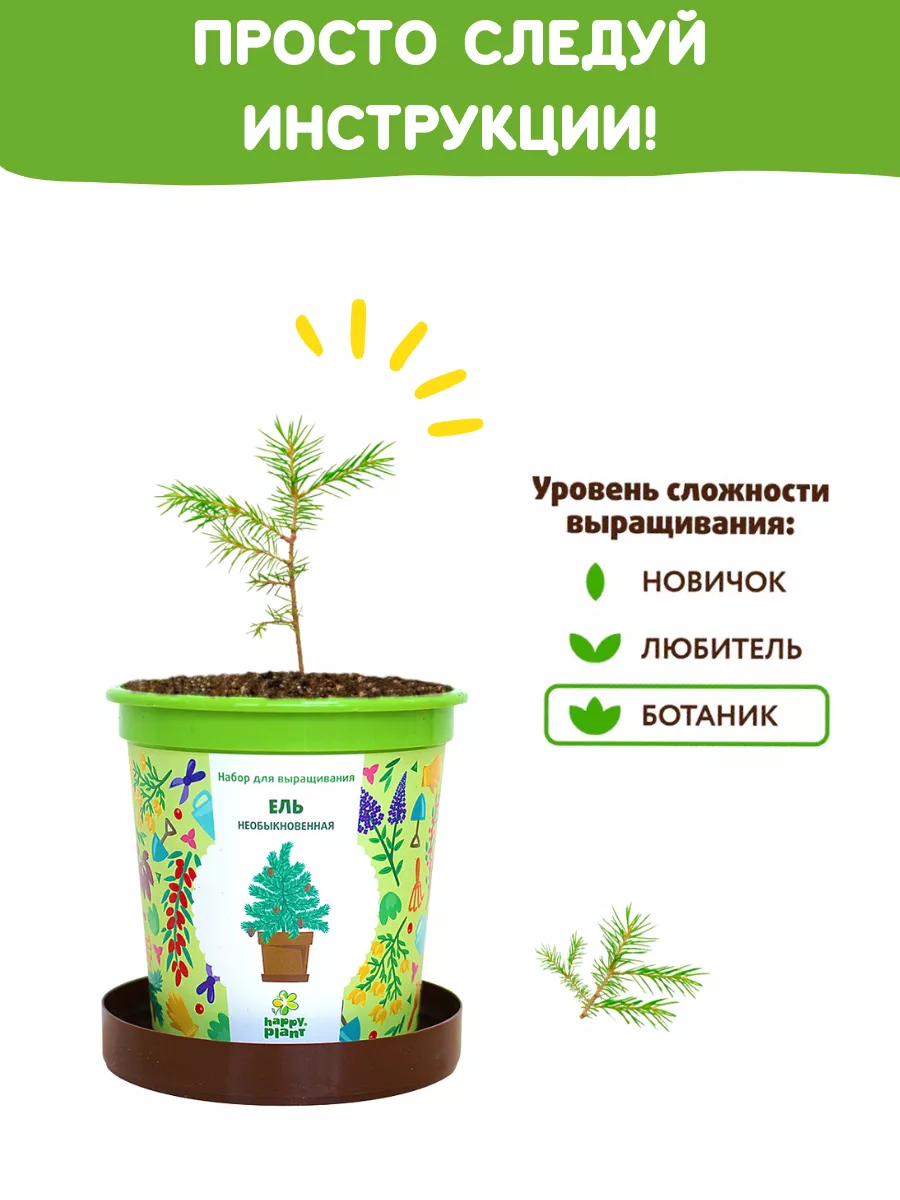 Набор для выращивания растений Вырасти сам дерево Ель Happy Plants 9061830  купить за 348 ₽ в интернет-магазине Wildberries