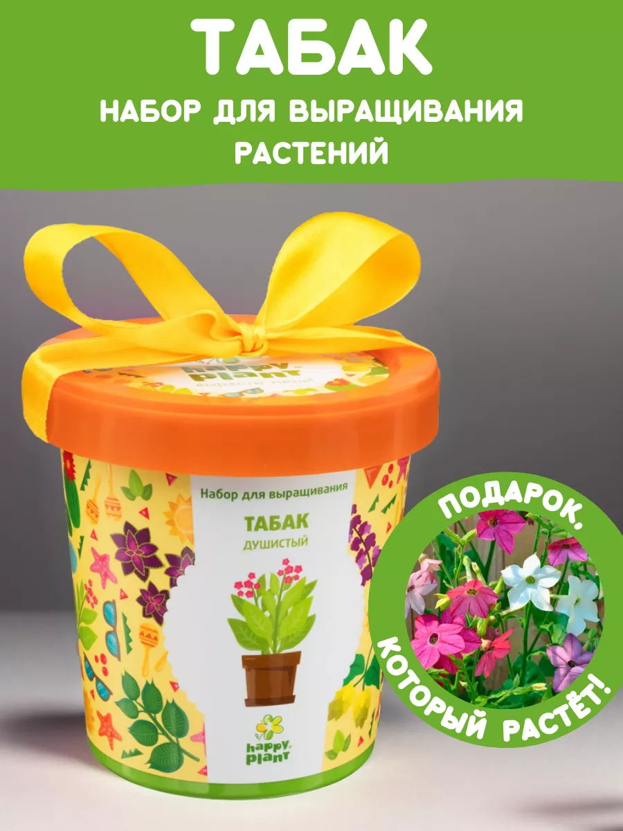 Набор для выращивания растений Вырасти сам цветы Табак Happy Plants 9061831  купить за 401 ₽ в интернет-магазине Wildberries