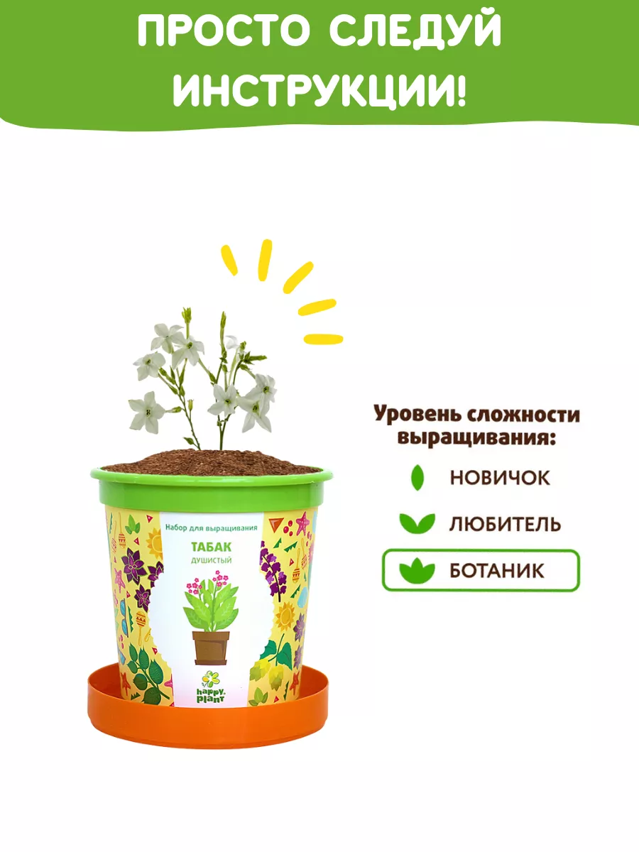 Набор для выращивания растений Вырасти сам цветы Табак Happy Plants 9061831  купить за 401 ₽ в интернет-магазине Wildberries