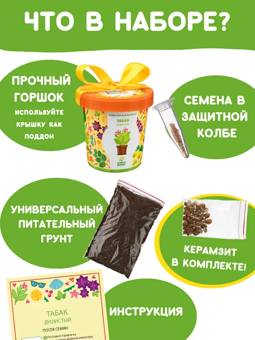Happy Plants Набор для выращивания растений Вырасти сам цветы Табак, вариант, фото 3