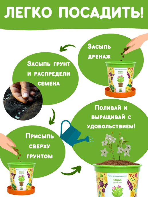 Happy Plants Набор для выращивания растений Вырасти сам цветы Табак, вариант, фото 4