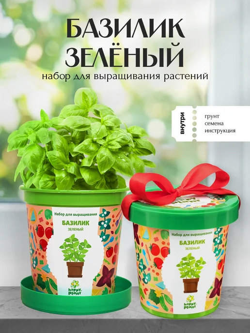 Happy Plants Набор для выращивания растений Базилик зеленый, зеленый