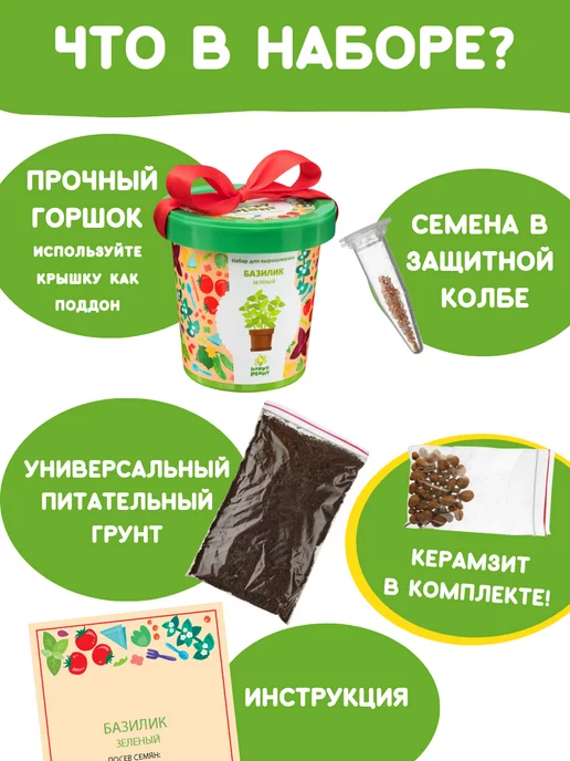 Happy Plants Набор для выращивания растений Базилик зеленый, зеленый, фото 3