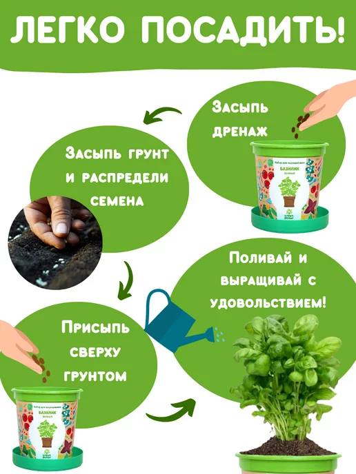 Happy Plants Набор для выращивания растений Базилик зеленый, зеленый, фото 4