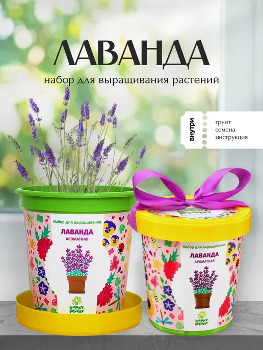 Happy Plants Набор для выращивания растений и цветов Лаванда, вариант