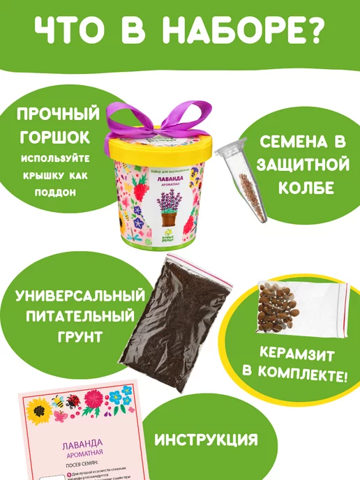 Happy Plants Набор для выращивания растений и цветов Лаванда, вариант, фото 3