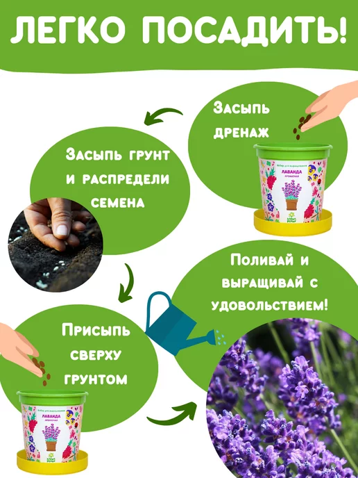 Happy Plants Набор для выращивания растений и цветов Лаванда, вариант, фото 4