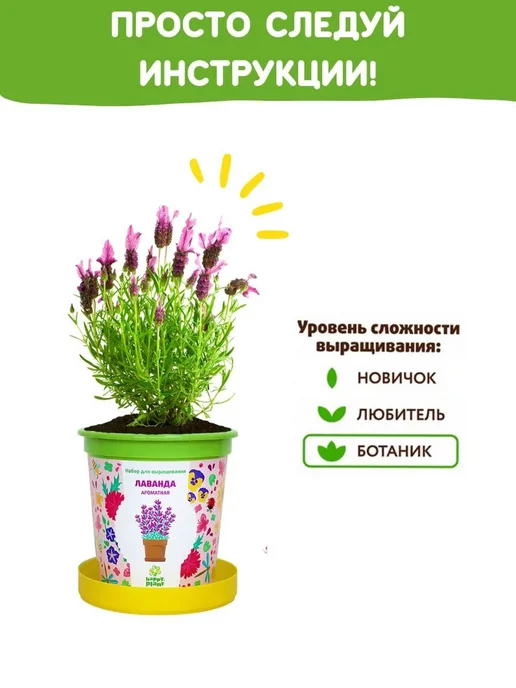 Happy Plants Набор для выращивания растений и цветов Лаванда, вариант, фото 5