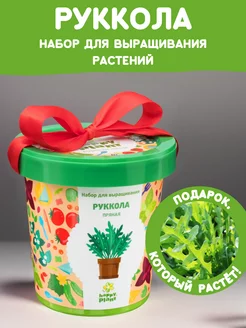 Набор для выращивания растений Вырасти сам зелень Руккола Happy Plants 9061836 купить за 356 ₽ в интернет-магазине Wildberries