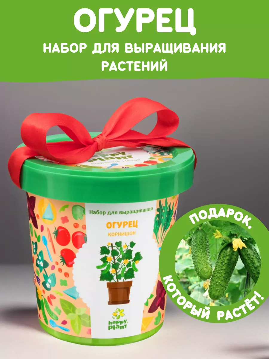 Набор для выращивания растений Вырасти сам овощи Огурец Happy Plants  9061839 купить за 348 ₽ в интернет-магазине Wildberries