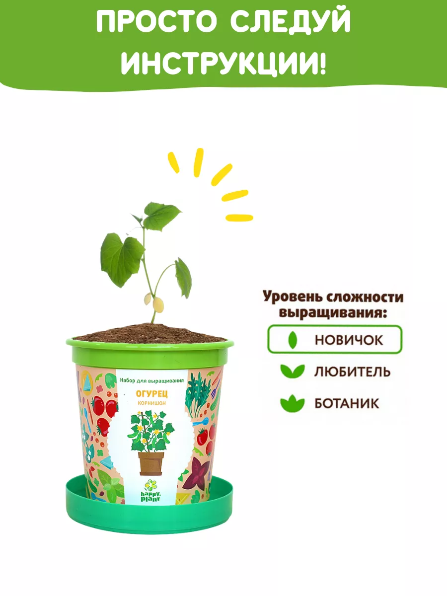 Набор для выращивания растений Вырасти сам овощи Огурец Happy Plants  9061839 купить за 348 ₽ в интернет-магазине Wildberries