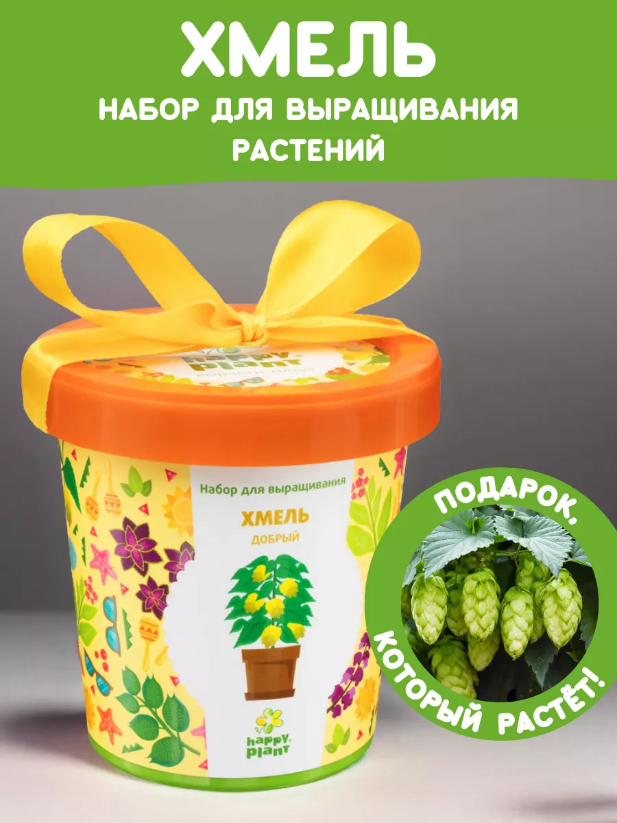 Happy Plants Набор для выращивания растений Вырасти сам цветы Хмель