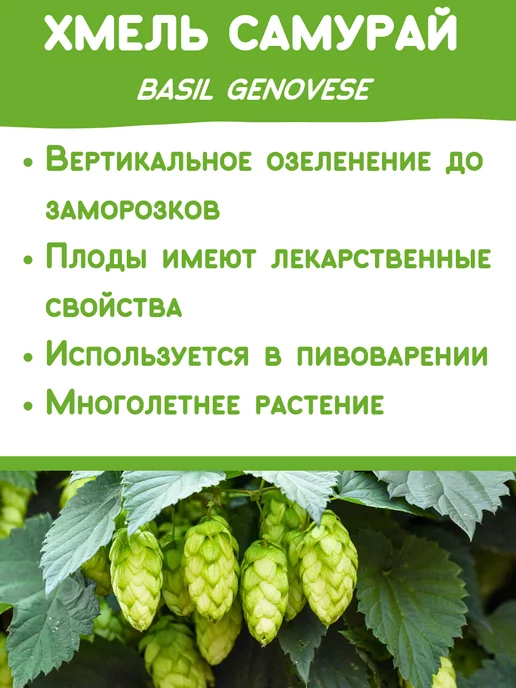 Happy Plants Набор для выращивания растений Вырасти сам цветы Хмель, вариант, фото 2