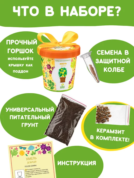 Happy Plants Набор для выращивания растений Вырасти сам цветы Хмель, вариант, фото 3