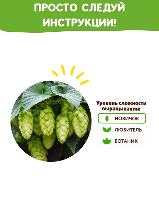 Happy Plants Набор для выращивания растений Вырасти сам цветы Хмель, вариант, фото 5