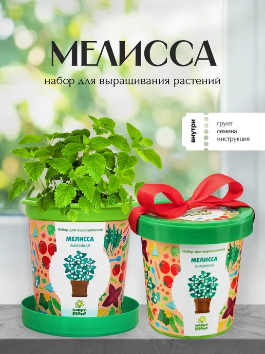 Happy Plants Набор для выращивания растений Мелисса, вариант