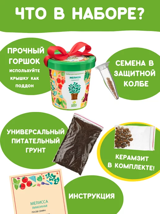 Happy Plants Набор для выращивания растений Мелисса, вариант, фото 3
