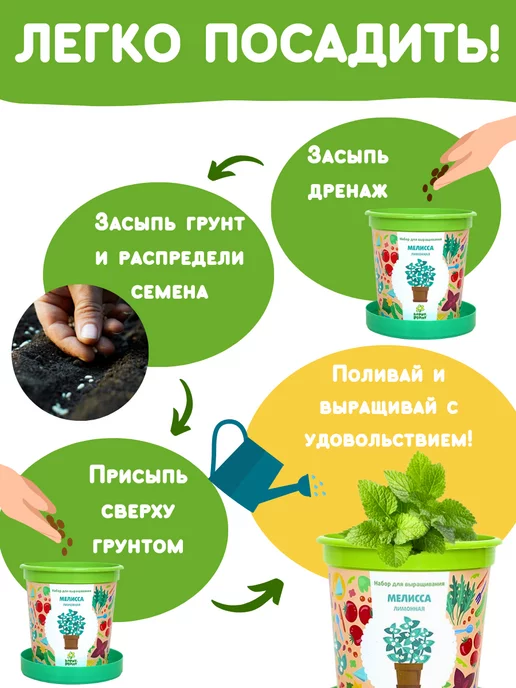 Happy Plants Набор для выращивания растений Мелисса, вариант, фото 4