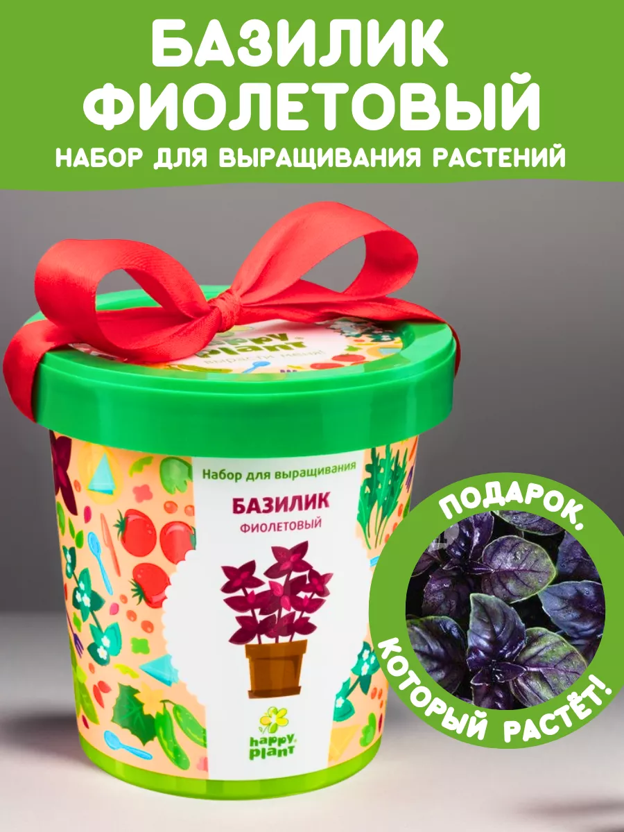 Набор для выращивания растений Базилик фиолетовый Happy Plants 9061845  купить за 348 ₽ в интернет-магазине Wildberries