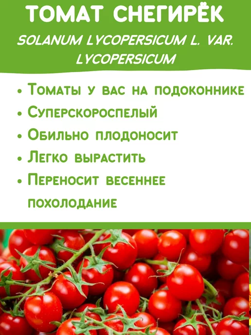 Happy Plants Набор для выращивания растений Томаты Черри, вариант, фото 2