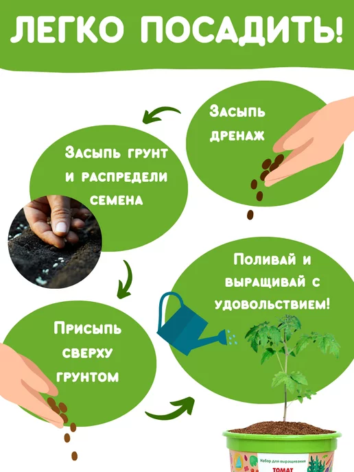 Happy Plants Набор для выращивания растений Томаты Черри, вариант, фото 4