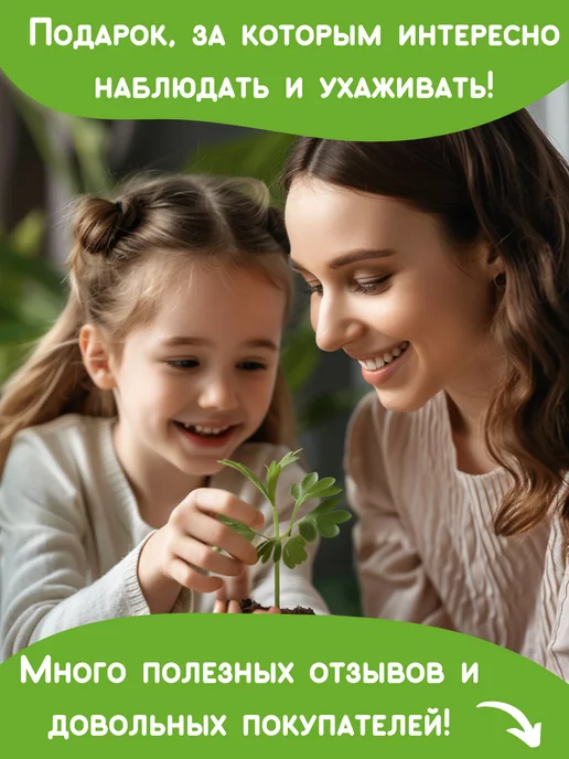 Happy Plants Набор для выращивания растений Томаты Черри, вариант, фото 6