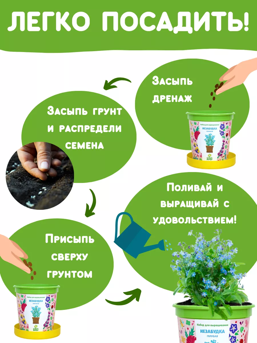 Набор для выращивания растений и цветов Незабудка Happy Plants 9061848  купить за 359 ₽ в интернет-магазине Wildberries