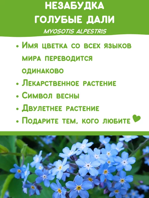 Happy Plants Набор для выращивания растений и цветов Незабудка, вариант, фото 2