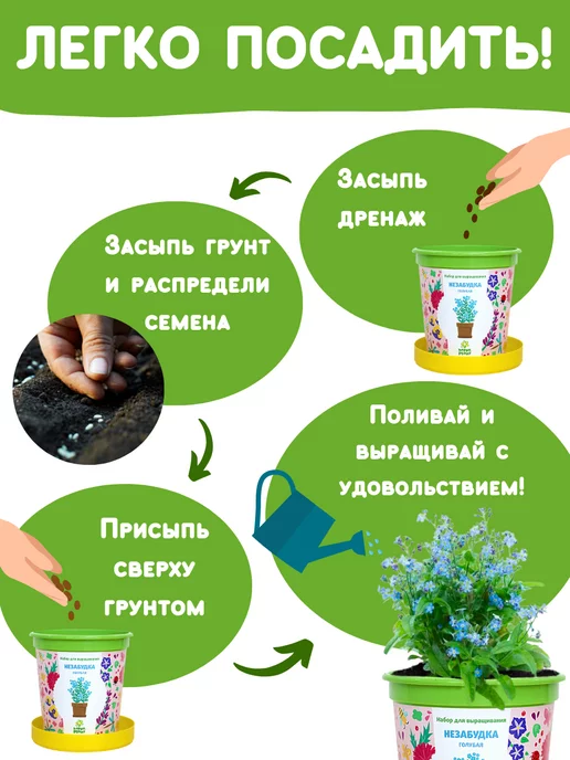 Happy Plants Набор для выращивания растений и цветов Незабудка, вариант, фото 4