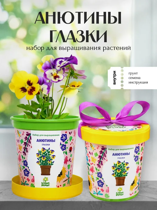 Happy Plants Набор для выращивания растений и цветов Анютины глазки, вариант