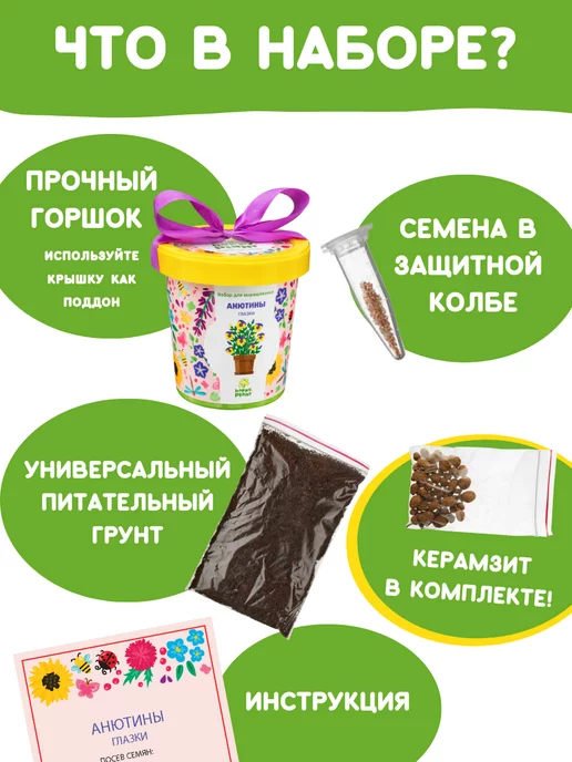 Happy Plants Набор для выращивания растений и цветов Анютины глазки, вариант, фото 3