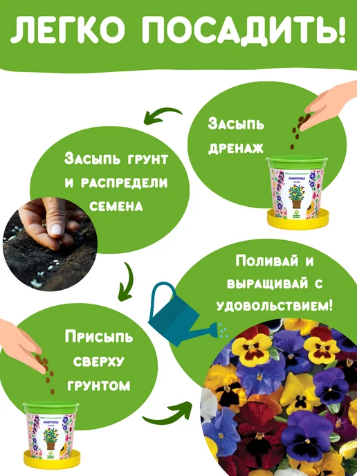 Happy Plants Набор для выращивания растений и цветов Анютины глазки, вариант, фото 4