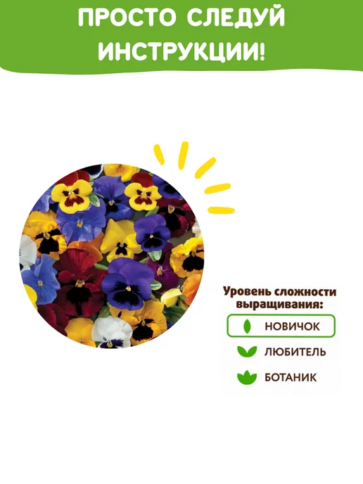 Happy Plants Набор для выращивания растений и цветов Анютины глазки, вариант, фото 5