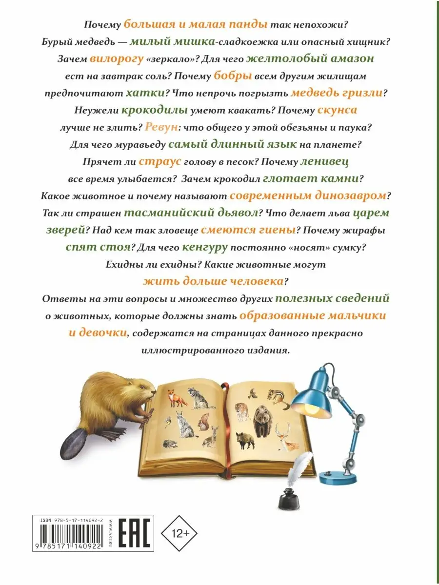 Все, что должны знать образованные Издательство АСТ 9127180 купить за 407 ₽  в интернет-магазине Wildberries