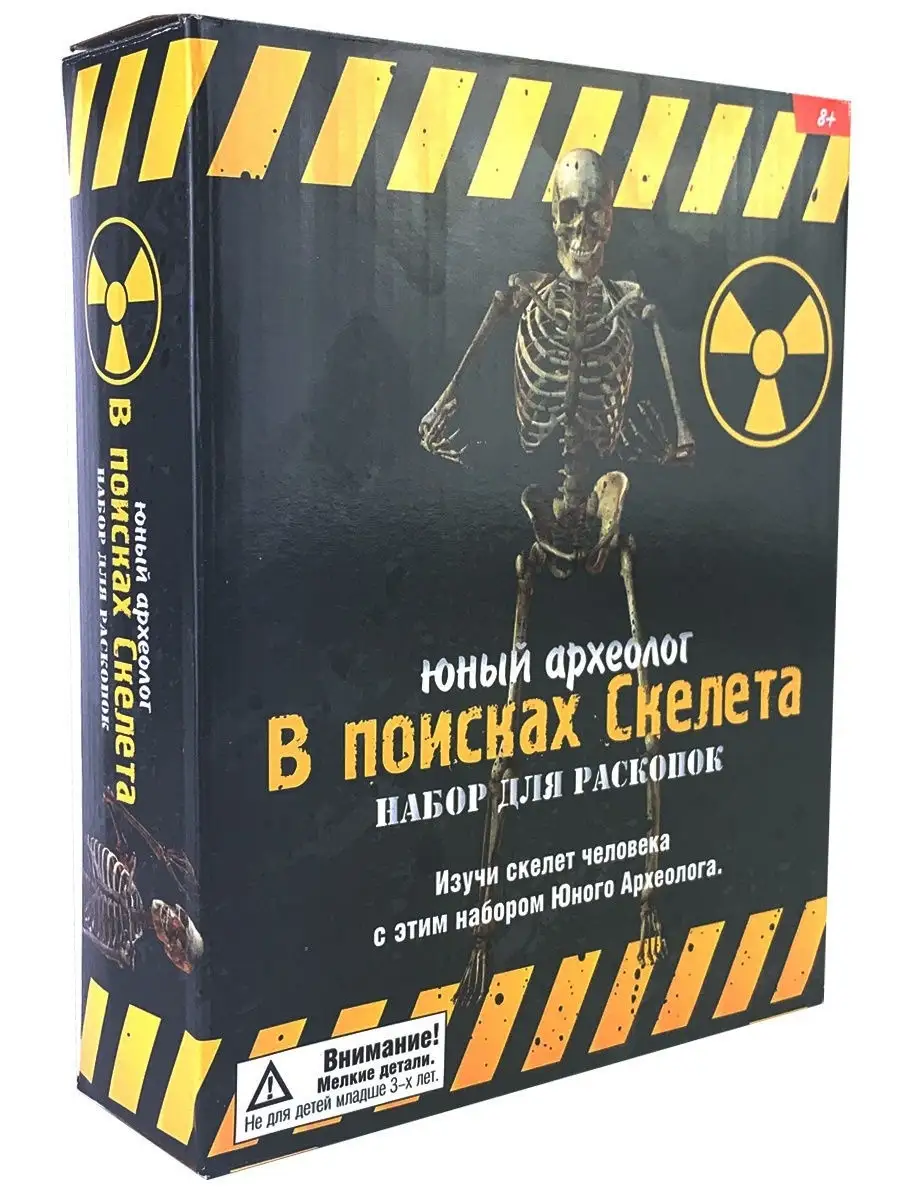 Археолог, Раскопки, Раскопай настоящий скелет Город Игр 9135057 купить за  484 ₽ в интернет-магазине Wildberries