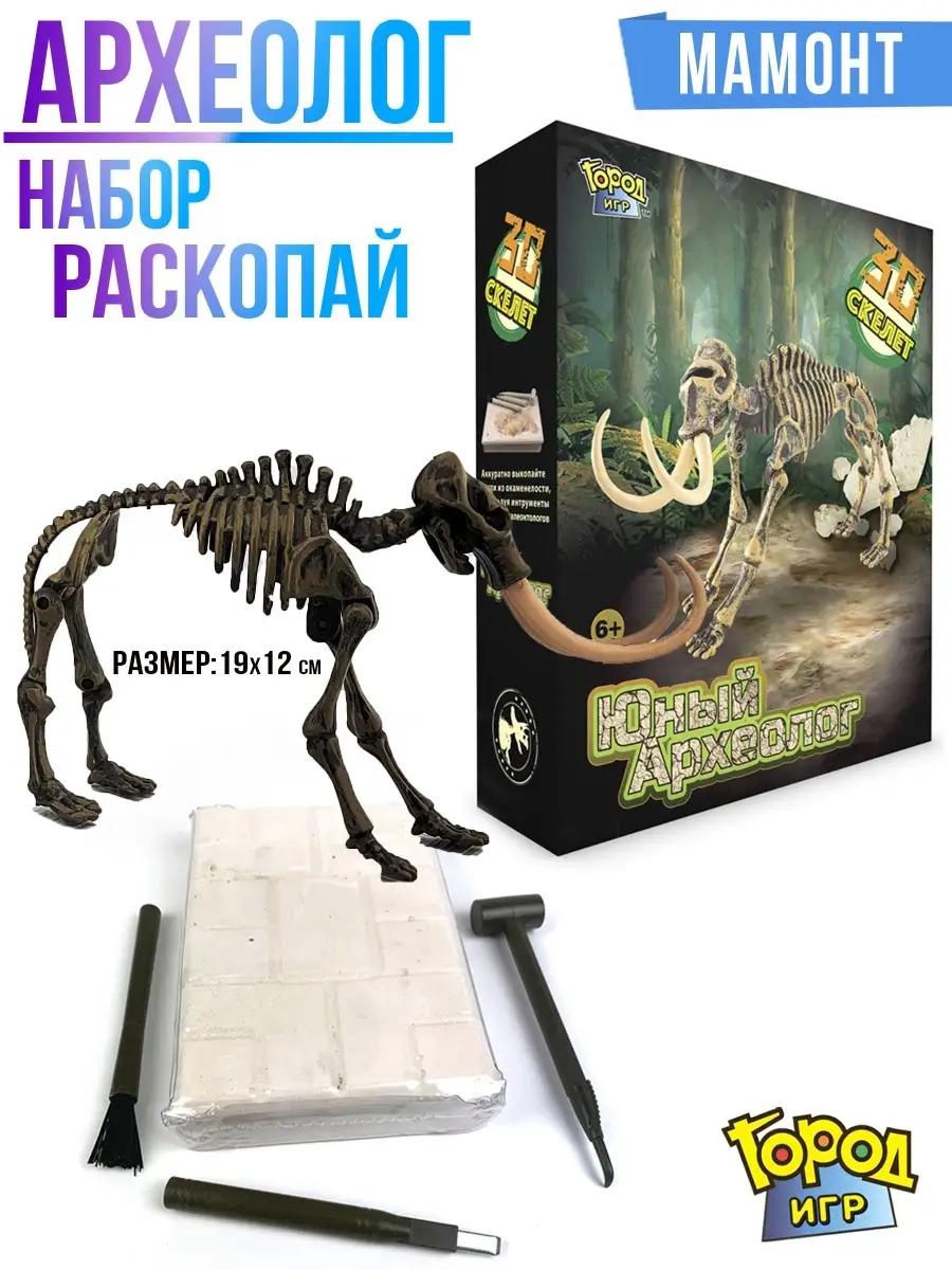 Археолог, Раскопки, Динозавр, раскопай скелет Мамонта