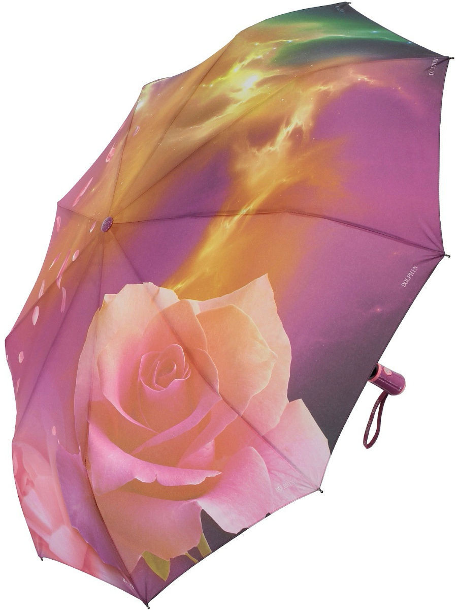 Вайлдберриз зонты женские. Зонт Dolphin Umbrella. Женский зонт. Красивые зонты женские. Элегантный зонт женский.