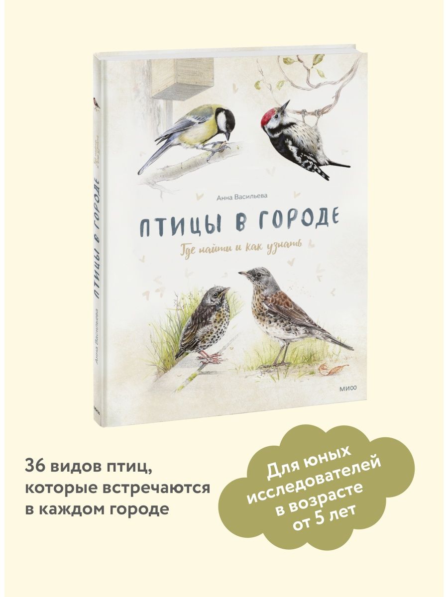 Птицы в городе. Где найти и как узнать Издательство Манн, Иванов и Фербер  9166089 купить за 1 120 ₽ в интернет-магазине Wildberries