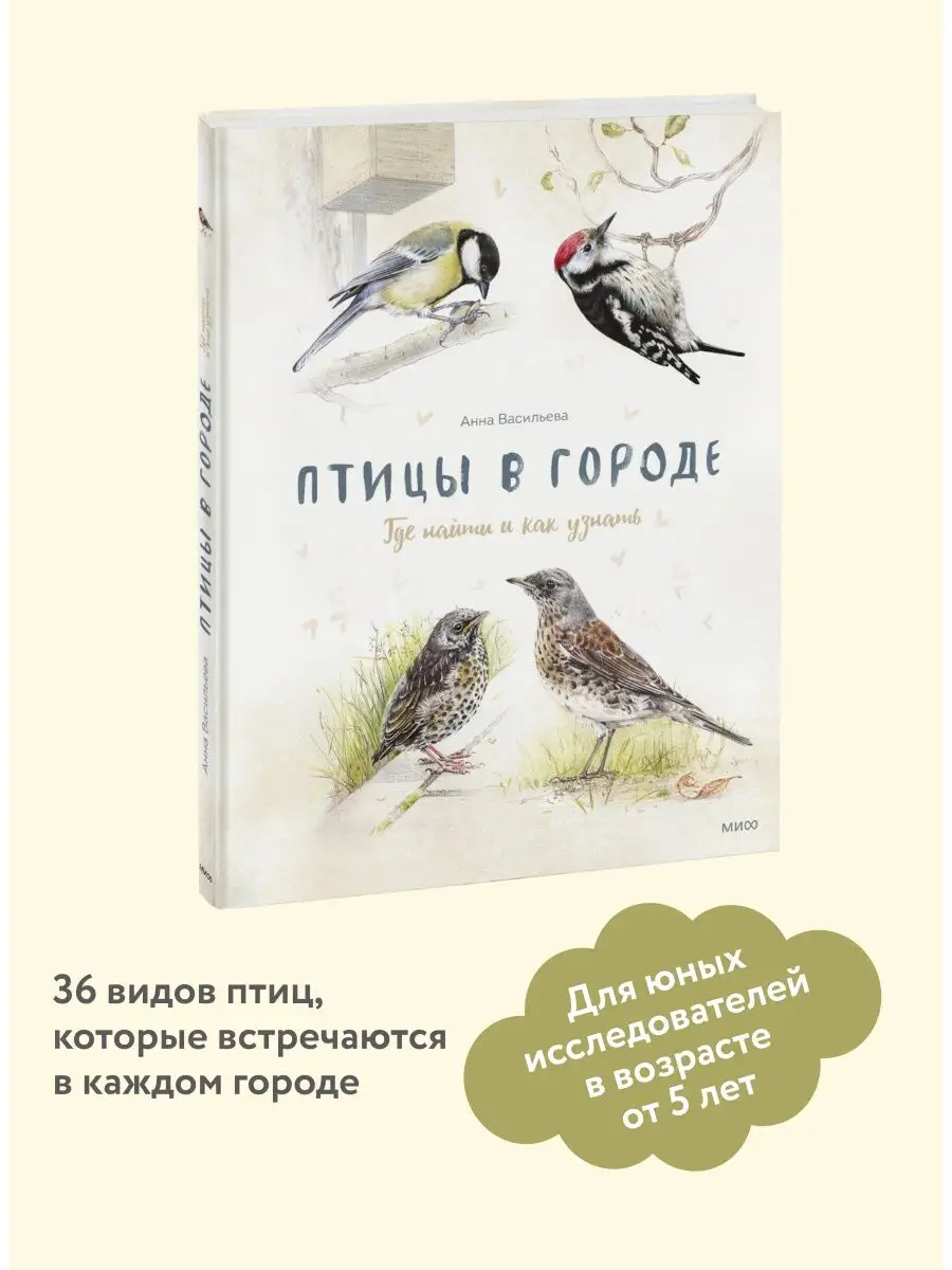 Птицы в городе. Где найти и как узнать Издательство Манн, Иванов и Фербер  9166089 купить за 903 ₽ в интернет-магазине Wildberries