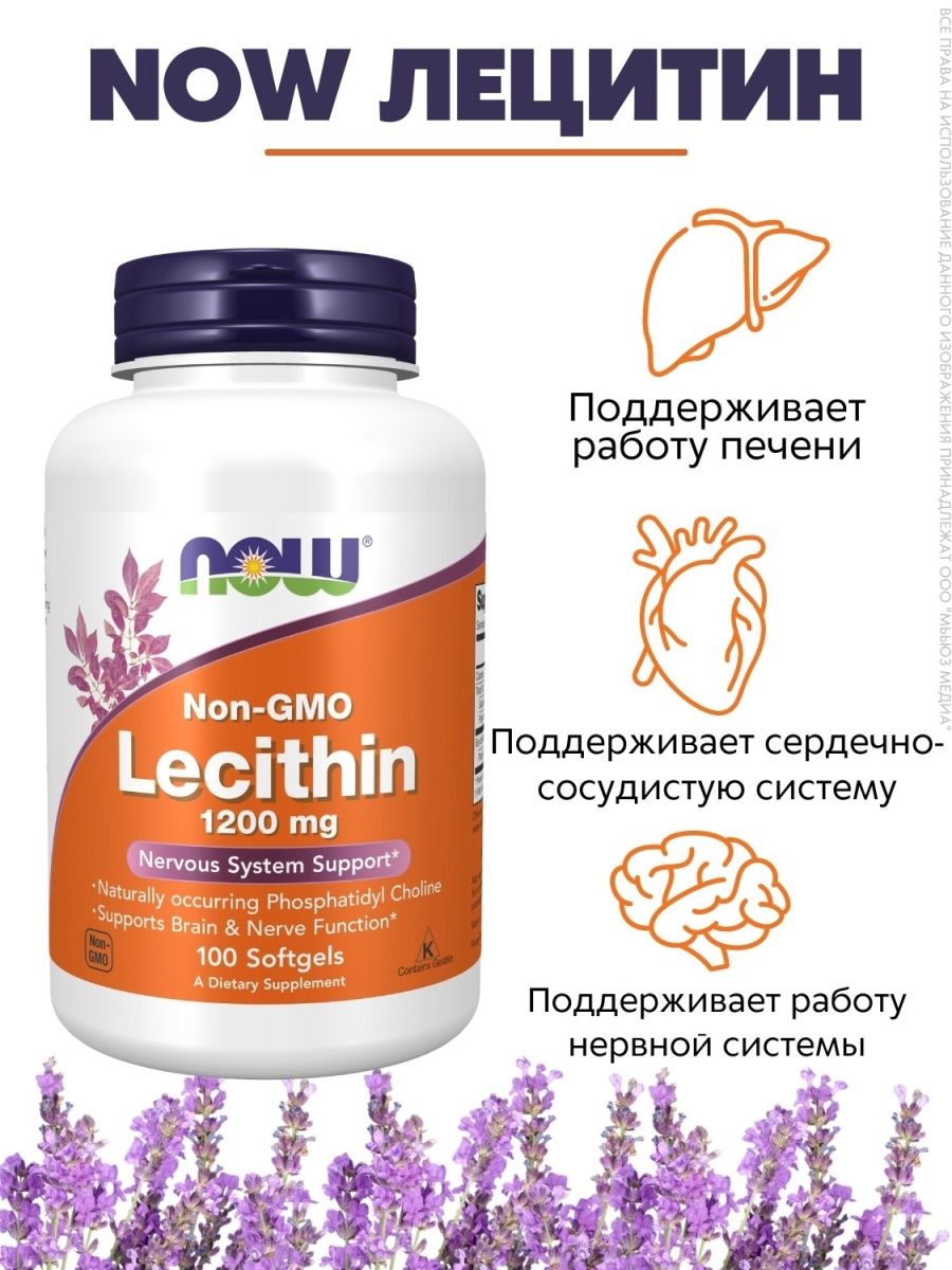 Лецитин 1200 мг now. Now Lecithin 1200 мг 100 капс. Лецитин 1200 мг. Лецитин для чего нужен организму. Витамины Now для печени.