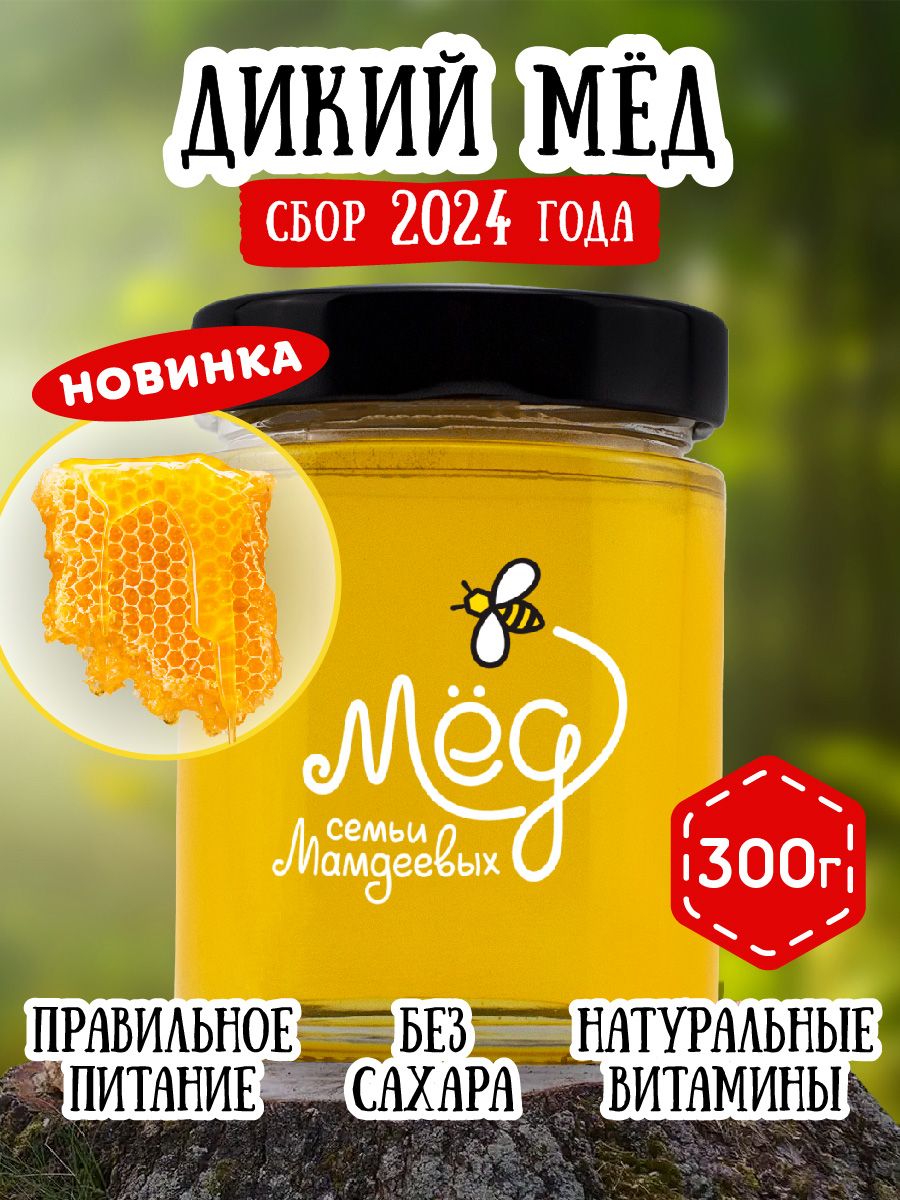 Дикий мед, 300 г, веган, эко-продукт Мёд семьи Мамдеевых 9176063 купить за  501 ₽ в интернет-магазине Wildberries