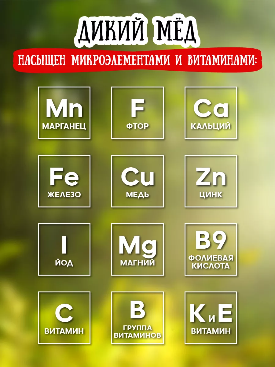 Дикий мед, 300 г, веган, эко-продукт Мёд семьи Мамдеевых 9176063 купить за  426 ₽ в интернет-магазине Wildberries