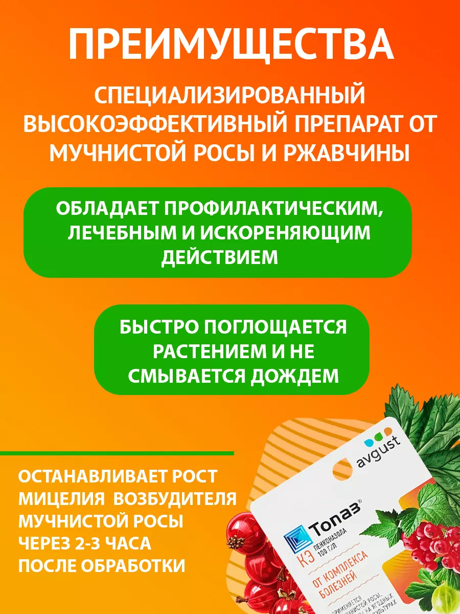 Средство от болезней растений Топаз 10мл Август AVGUST 9243887 купить за  281 ₽ в интернет-магазине Wildberries